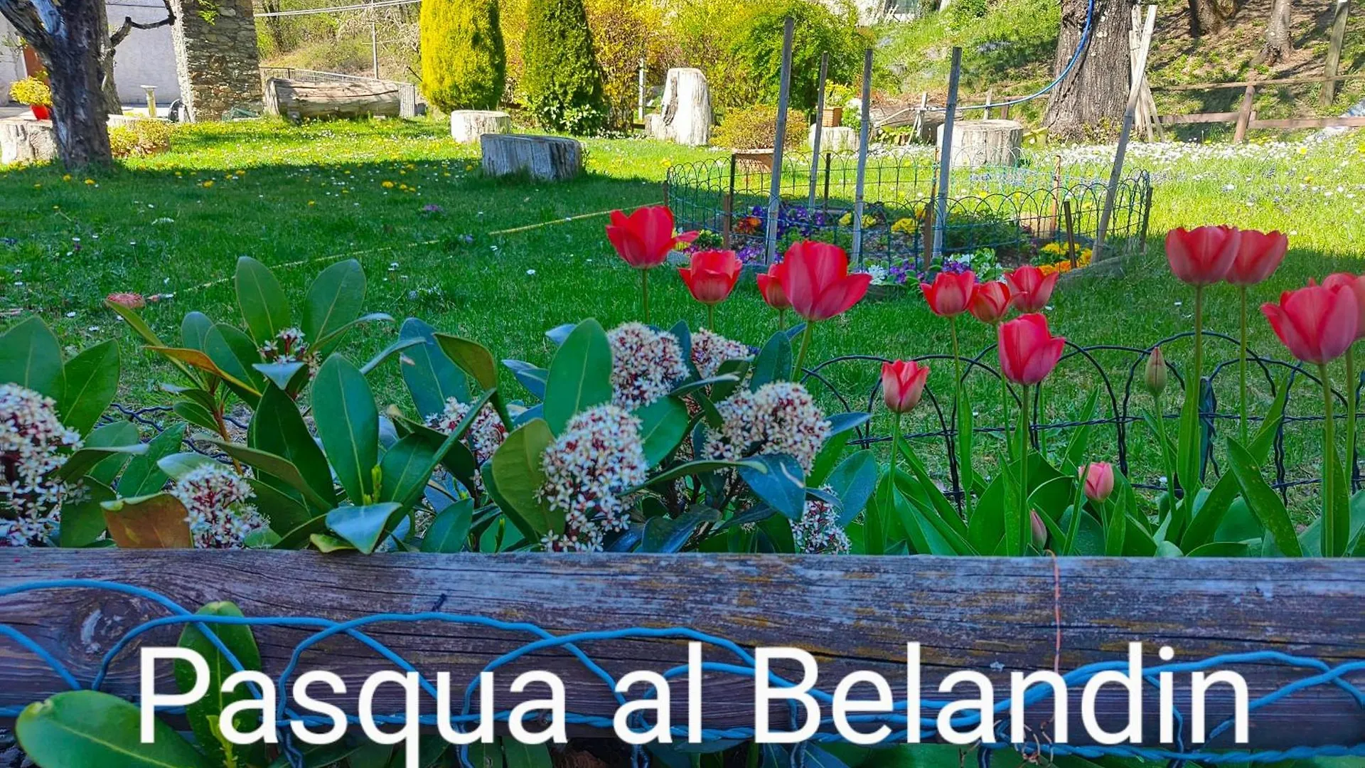 Belandin Ristorante Hotel Teglio Italia